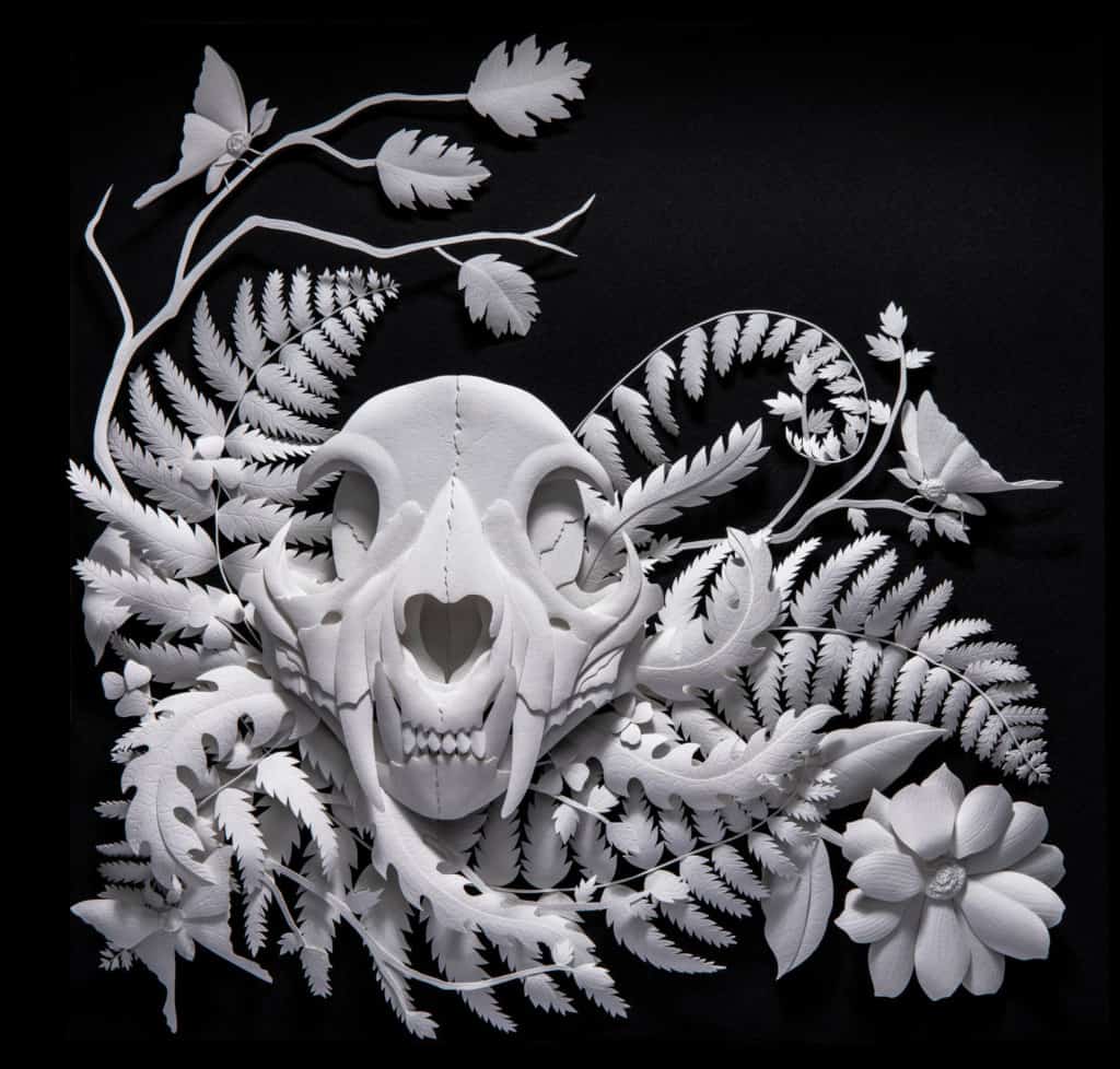 marisa-ware-moonshadow-paper-sculpture