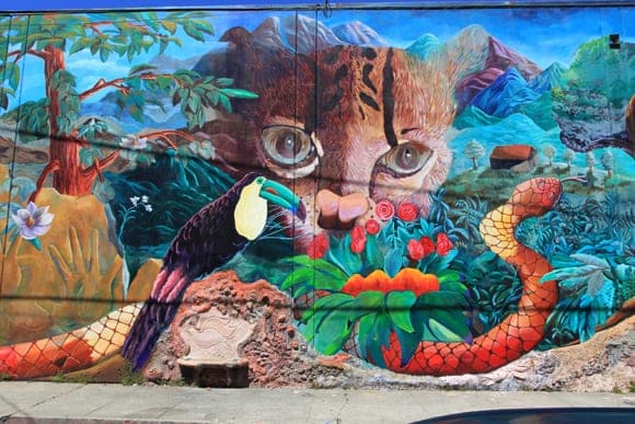 Urban Jungle Finished Mural